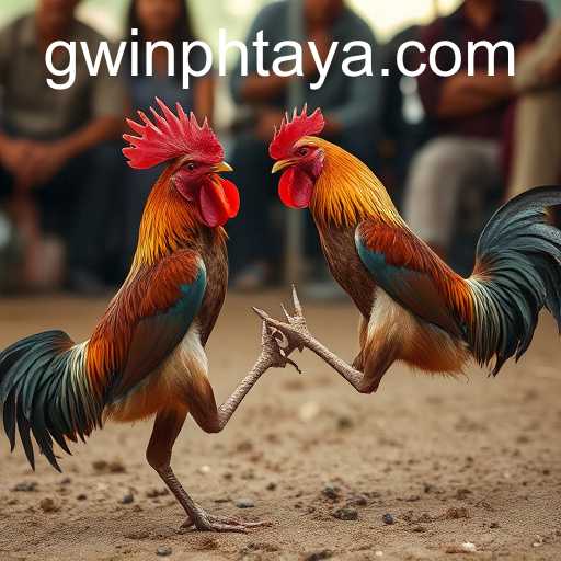 Cockfighting and Its Cultural Significance: An Examination of GWIN PH